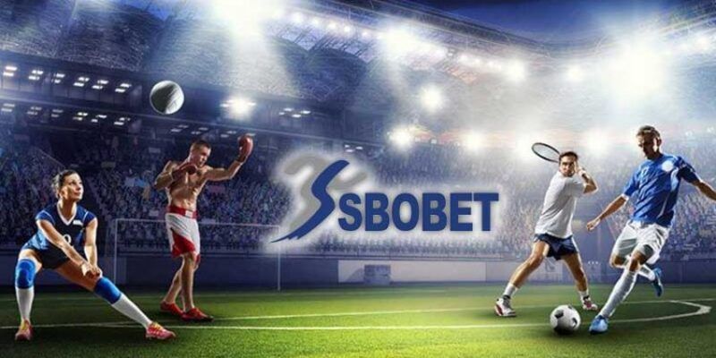 SBO Sports 88BET – Đỉnh Cao Cá Cược Thể Thao Với Thưởng Hấp Dẫn