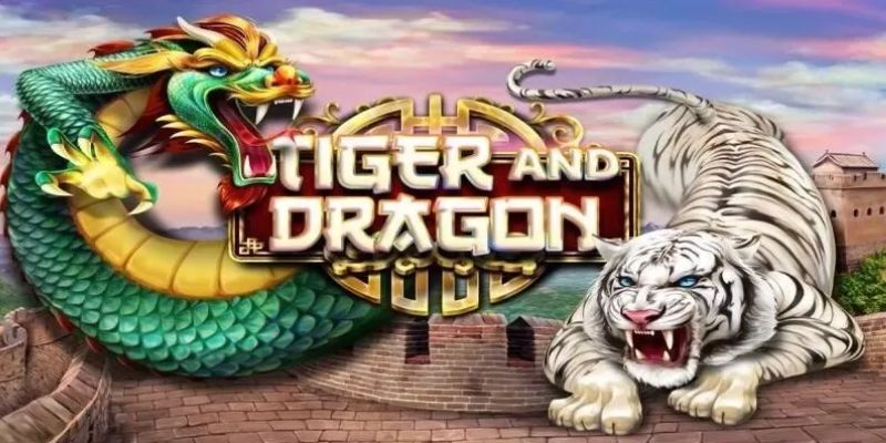 Rồng Hổ 88bet – Chinh phục đỉnh cao cá cược 2026