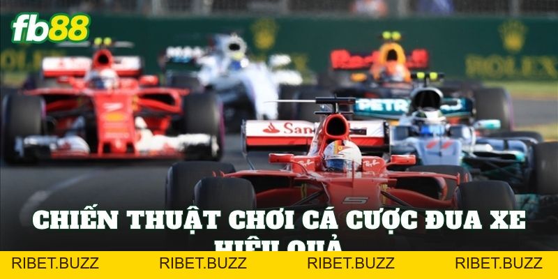 Cá Cược Đua Xe: Chiến Thuật Từ Cơ Bản Đến Nâng Cao Cá Cược Đua Xe: Chiến Thuật Từ Cơ Bản Đến Nâng Cao