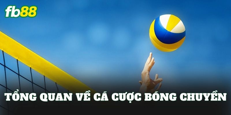 Cá Cược Bóng Chuyền: Hướng Dẫn Chơi Kèo Hiệu Quả Cá Cược Bóng Chuyền: Hướng Dẫn Chơi Kèo Hiệu Quả