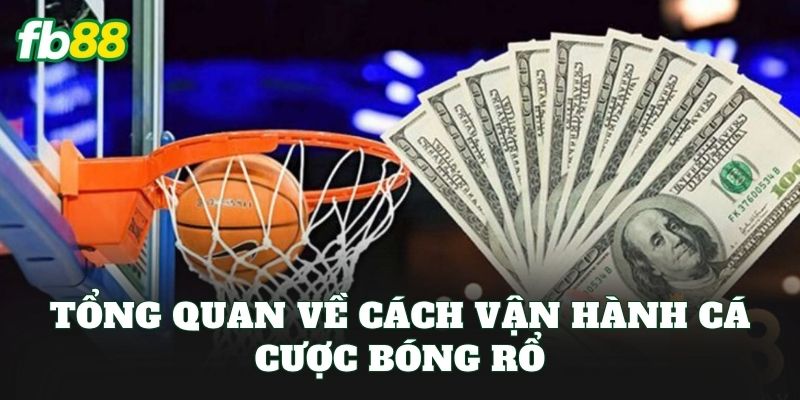 Cá Cược Bóng Rổ FB88: Cách Vào Kèo Dễ Hiểu Cho Người Mới Cá Cược Bóng Rổ FB88: Cách Vào Kèo Dễ Hiểu Cho Người Mới