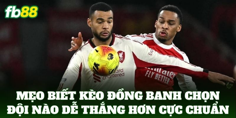 Kèo Đồng Banh Chọn Đội Nào Dễ Thắng Hơn - Mẹo Từ FB88 Kèo Đồng Banh Chọn Đội Nào Dễ Thắng Hơn - Mẹo Từ FB88
