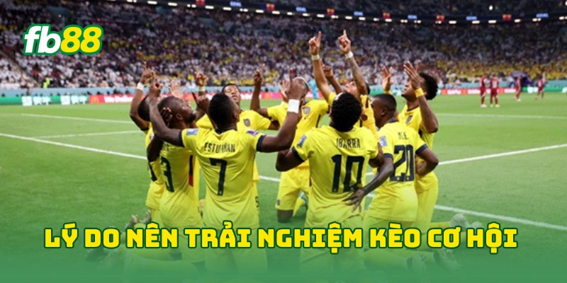 Kèo Cơ Hội Kép Hôm Nay - 7 Bí Kíp Nhận Định Tỷ Lệ Thắng Cao!