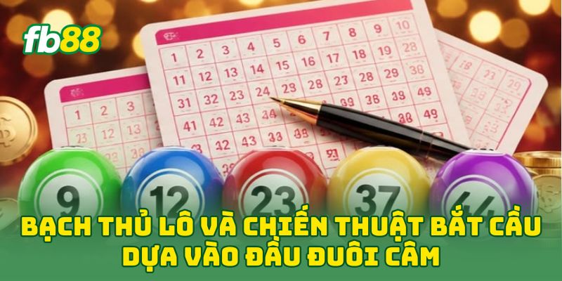 Bạch Thủ Lô: 5 Bí Mật Soi Cầu Độc Thủ Giúp Về Số Nhanh Bạch Thủ Lô: 5 Bí Mật Soi Cầu Độc Thủ Giúp Về Số Nhanh