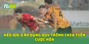 Tin Tức - FB88 nhà cái