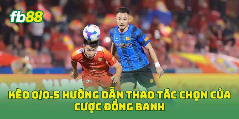 Kèo 0/0.5 là gì? Cách Đọc, Tính Tiền Cùng Kinh Nghiệm Cược Kèo 0/0.5 là gì? Cách Đọc, Tính Tiền Cùng Kinh Nghiệm Cược