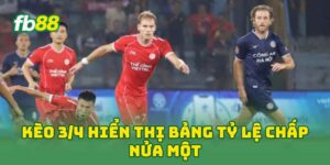 Tin Tức - FB88 nhà cái